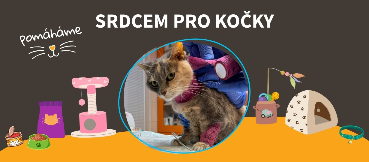 srdcem_pro_kocky